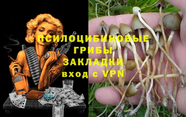 apvp Абинск